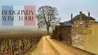 Burgundy France Wine Tour  Best Pinot Noir amp Chardonnay In The World [upl. by Ahsemat]