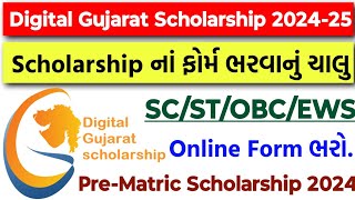 Digital Gujarat Scholarship 202425 Online Form Fill Up Date 2024 PreMatric Scholarship SCSTOBC [upl. by Othella920]