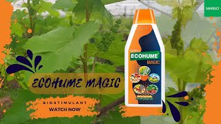 EcohumeMagic for Vineyards  The Biostimulant from MARGO [upl. by Herbie]