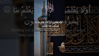 Surah Baqarah 7677 Tilawat youtubeshorts trending shorts viral islam trending youtube quran [upl. by Brighton]