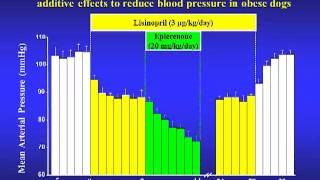 Pathophysiology of hypertension in obesitymetabolic syndrome  John Hall [upl. by Grous651]