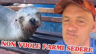 VACANZE DI NATALE ALLE GALAPAGOS  GIRO DEL MONDO IN PANDA 4X4 [upl. by Pages728]