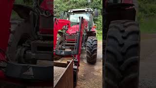 Today on the farm filling the heifer feed box dairyfarm dairyfarmlife tractor [upl. by Nahsyar]