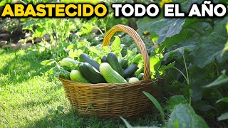 Todo lo que GANAS al cultivar Pepinos frescos en tu Huerto [upl. by Kcaz]