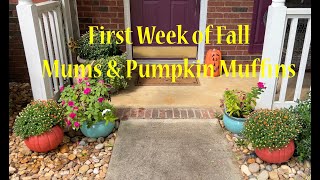 First week of fall 2024 [upl. by Koerner70]