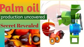 Palm oil production [upl. by Montano]