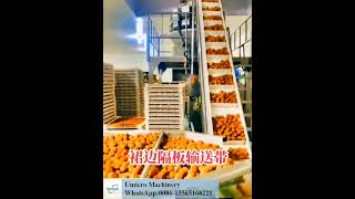 skirt conveyor belt combination weighing and packing machine vibrating screen [upl. by Elodea]