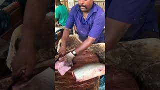 KASIMEDU SPEED SELVAM MASS CUTTING SKILLS fishcutting [upl. by Adnylg211]