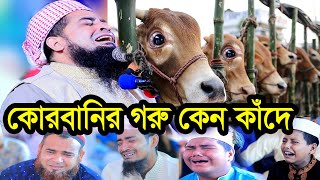 ১৪ই জুন হজ্জ ও কোরবানির জুম্মা বয়ান ইলিয়াছুর রহমান জিহাদী eliasur rahman zihadi waz 2024 [upl. by Ahsait]