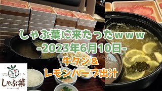 【牛たん】しゃぶ葉に来たったｗｗｗ2023年6月30日 【しゃぶ葉】 しゃぶ葉 牛肉 食べ放題 しゃぶしゃぶ 名取さな しゃぶ葉ニキ 牛みすじ 肉の日 おつしゃぶ [upl. by Elery]