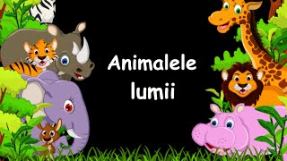 Animalele lumii ☛Animalele salbatice☚ [upl. by Floria918]