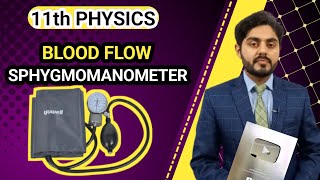 Sphygmomanometer class 11 nbf  Blood pressure class 11  application of bernoullis equation  NBF [upl. by Robbin]