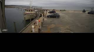 Menemsha Texaco Live Stream [upl. by Eidnas]