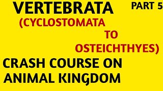 NCERTCrash CourseClass 11Animal KingdomCyclostomata to Osteichthyes Part5NEETAIIMS [upl. by Buttaro]