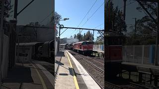 R766 steam loco and 42103 passing Koolewong to Sydney [upl. by Glantz]