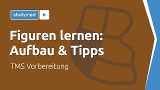 Figuren lernen Aufbau amp Tipps  TMS Vorbereitung [upl. by Oihsoy292]