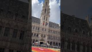 GrandPlace Brussels Belgium 🇧🇪grandplace brusselsbelgium belgium [upl. by Ynitsed]