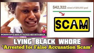 LYING BLACK WH0RE CHARGED for FALSELY ACCUSING MEN amp GOFUNDME SCAM 😂 BRICK LADY HELD ACCOUNTABLE [upl. by Anikahs169]