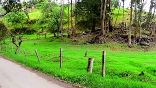 Lote en venta entre Madrid y Subachoque  Cundinamarca [upl. by Wivinah]