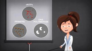 Basics of PCR [upl. by Felicie]