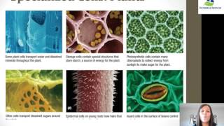 Cell Specialization [upl. by Ladew]