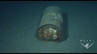 Trash in the deep sea Bringing a hidden problem to light [upl. by Aicercal]