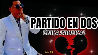 Partido En Dos  Única Tropical LetraLyric [upl. by Recnal376]