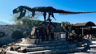 Museo del Desierto  Saltillo Coahuila 🌵🦖🦕 [upl. by Margarete570]