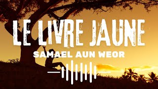 Le Livre Jaune  Livre Audio de Samael Aun Weor [upl. by Emmanuel]