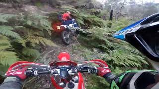 Australia Enduro GasGas 300 amp Husky 450 [upl. by Wootten840]