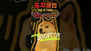 지금 도지코인DOGE은 최소 1000의 기회입니다 [upl. by Carolynne]