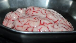 Brain Fry  Bheja Fry  Lamb Brain Fry  Mana Telangana Vantalu [upl. by Patric]