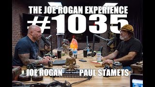 Joe Rogan Experience 1035  Paul Stamets [upl. by Gwendolin]