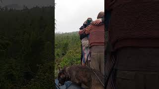 Tofino Rainbow gathering 2024 pooles land permaculture Ucluelet la ferme la bouche farm permaculture [upl. by Nerrad]