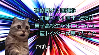 研修医誤診について中堅ドクターが思ったこと猫ミーム 猫マニ研修医 [upl. by Anifesoj]