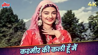 Kashmir Ki Kali Hoon Main 4K In COLOR  Lata Mangeshkar  Saira Banu Shammi Kapoor  Junglee 1961 [upl. by Agon]