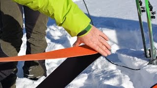 1  Pelli di Foca  Tutorial Freeride Touring e Scialpinismo [upl. by Nnyltiac]