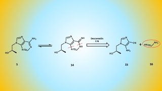 Tenofovir disoproxil antiviral vs VIH y VHB análisis retrosintético II [upl. by Ahs]