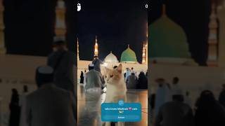 Main dakhta he rahon trending viral naat shorts naat shorts viral trending new newreel tiktok [upl. by Oirad23]