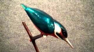 Kingfisher by Tim Cotterill Frogman [upl. by Cynth]