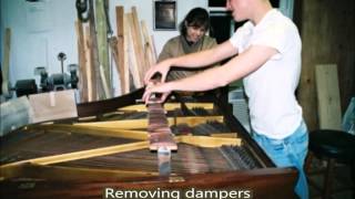 Repairing your Pianos Dampers [upl. by Austina]