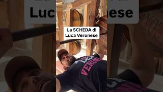 😳La SCHEDA di LUCA VERONESE 🦾 [upl. by Einot882]