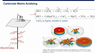 Well Stimulation Carbonate Matrix Acidizing [upl. by Ainoda702]