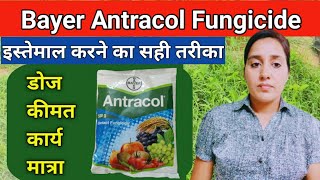 How to use antracol fungicide  Propineb 70wp  Antracol fungicide  bayer antracol fungicide uses [upl. by Errol759]