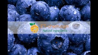 Bilberry fruit dry extracts Vaccinium Myrtillus benefitsproduction [upl. by Trofmoc590]