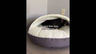 Introducing the Snoozer Cozy Cave Dog Bed  The Perfect Bed for Burrowing Dogs [upl. by Anilorak961]