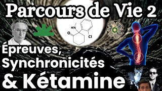 Parcours de Vie 2  Épreuves Synchronicités amp Kétamine [upl. by Attelocin]