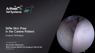 Stifle Skin Prep in the Canine Patient [upl. by Aicetel857]