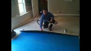 Water Removal Flooded Carpet Pad Water Damage [upl. by Hubsher]