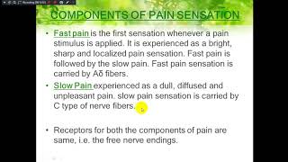 Mechanism of touch temperature amp pain [upl. by Schapira]